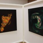 2025_Ausstellung_Land_unter